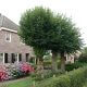 Bed and Breakfast arrangement bij Annapart